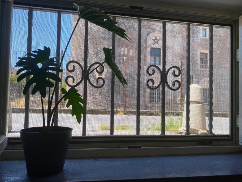 La Piccola Grotta Ursino Villa Catania Bagian luar foto
